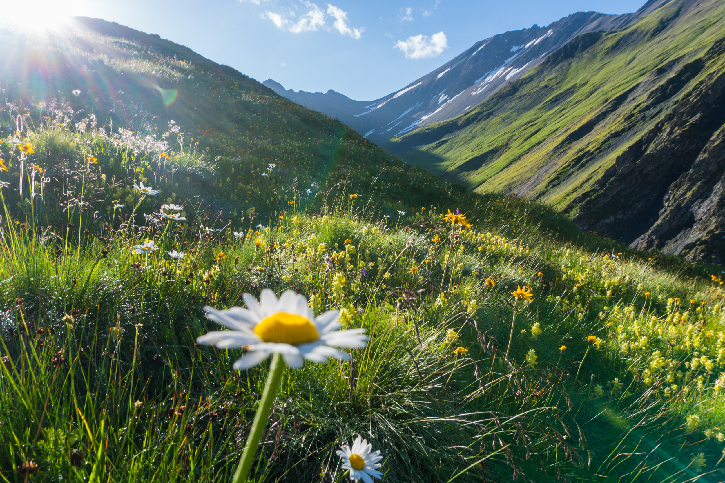 Tour du Mont-Blanc